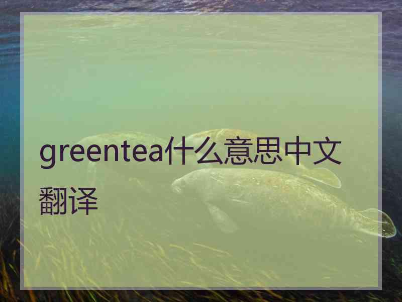 greentea什么意思中文翻译