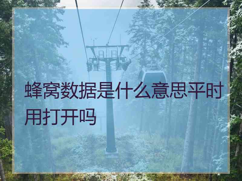 蜂窝数据是什么意思平时用打开吗 蜂窝数据是什么意思平时用打开吗