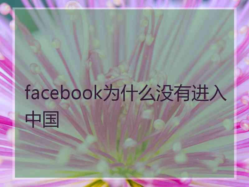 facebook为什么没有进入中国