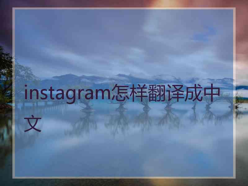instagram怎样翻译成中文