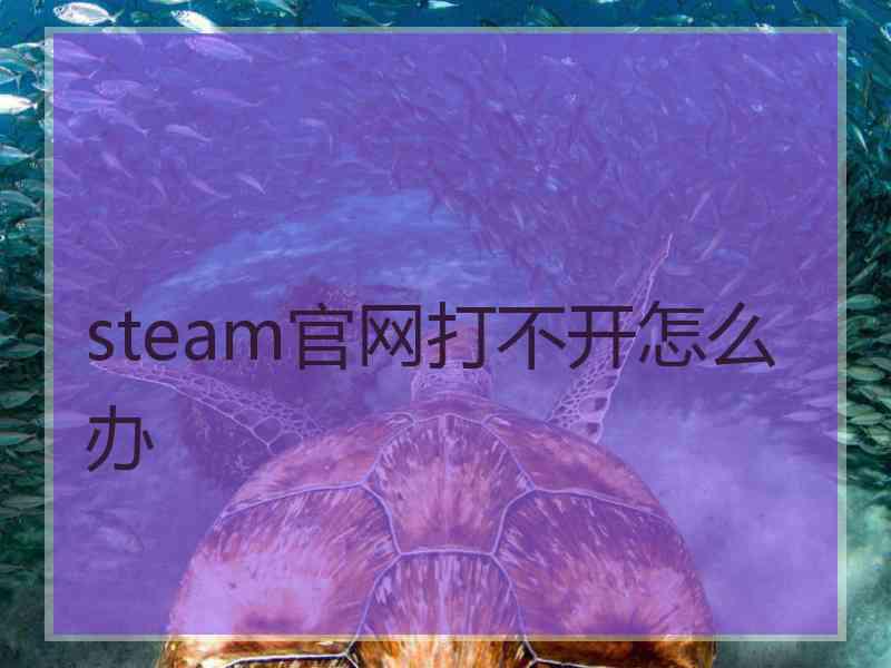 steam官网打不开怎么办