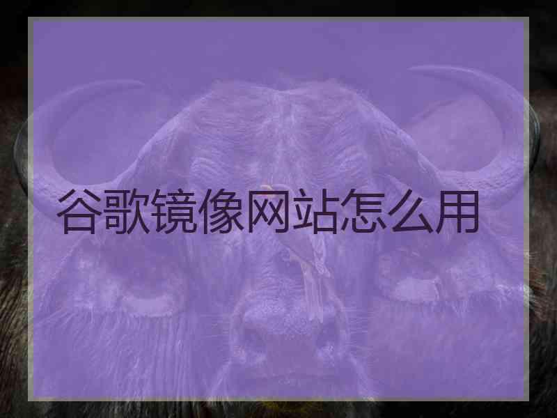 谷歌镜像网站怎么用