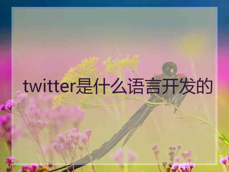 twitter是什么语言开发的
