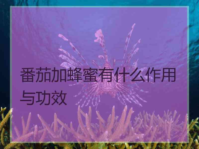 番茄加蜂蜜有什么作用与功效
