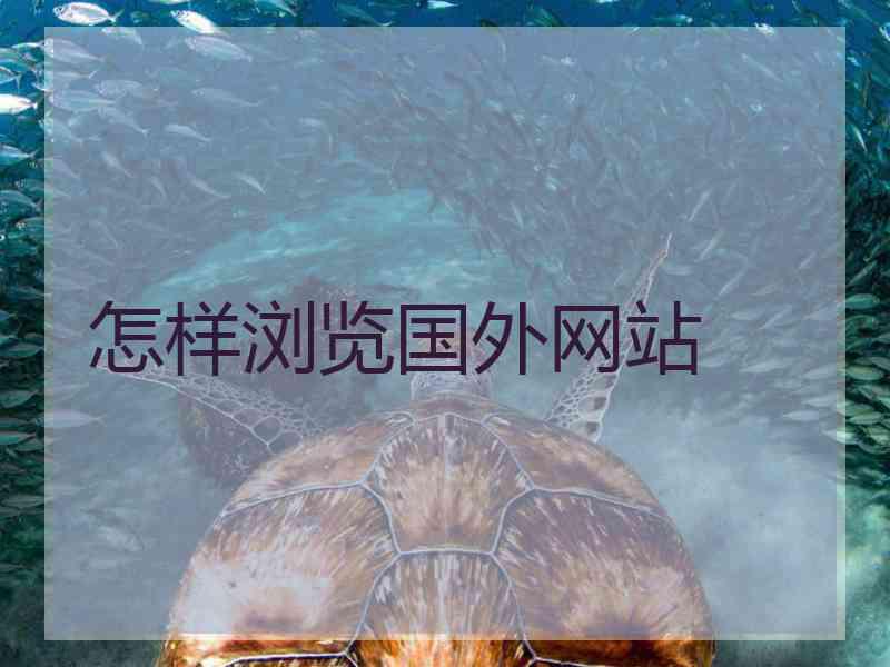 怎样浏览国外网站