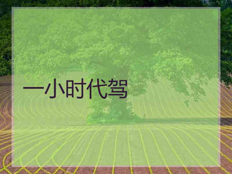 一小时代驾