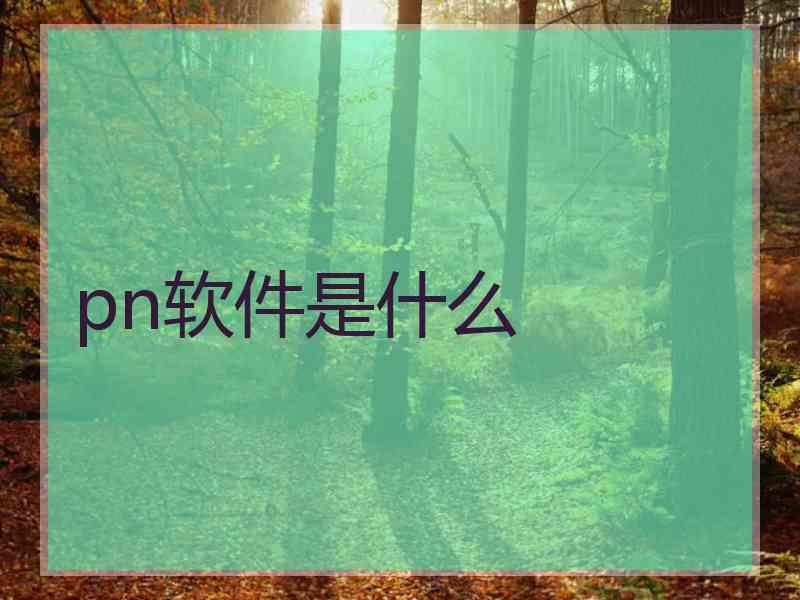 pn软件是什么