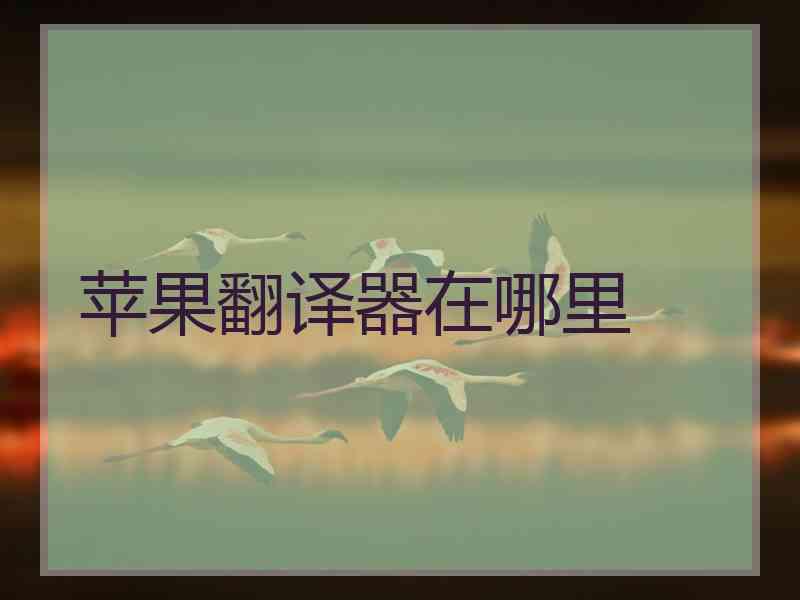 苹果翻译器在哪里
