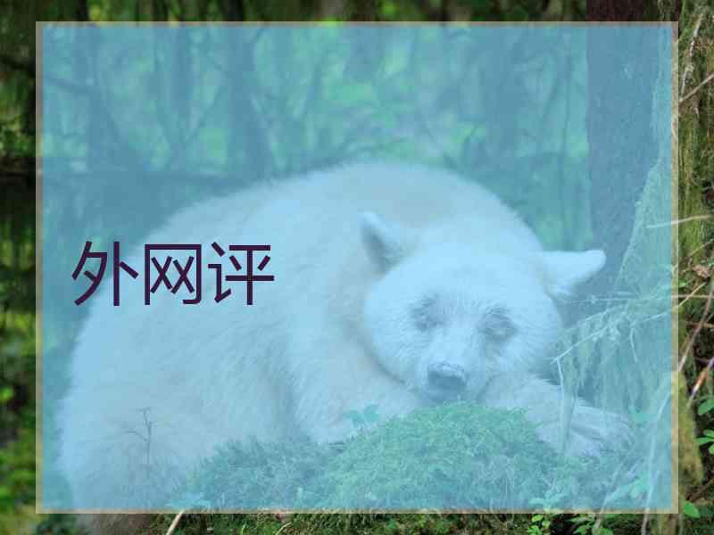 外网评