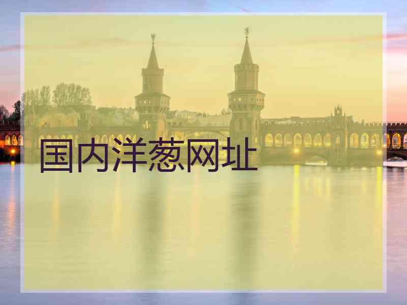 国内洋葱网址