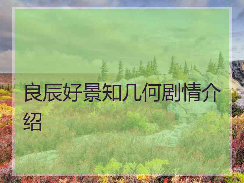 良辰好景知几何剧情介绍