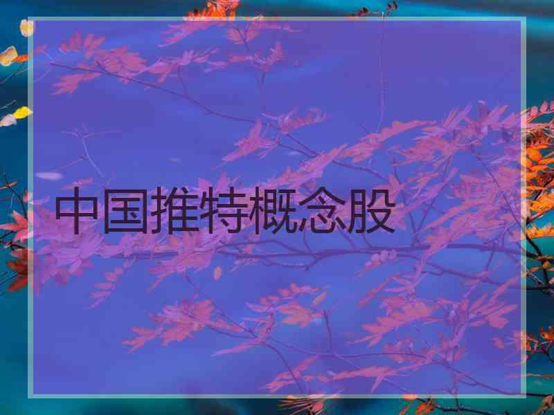 中国推特概念股