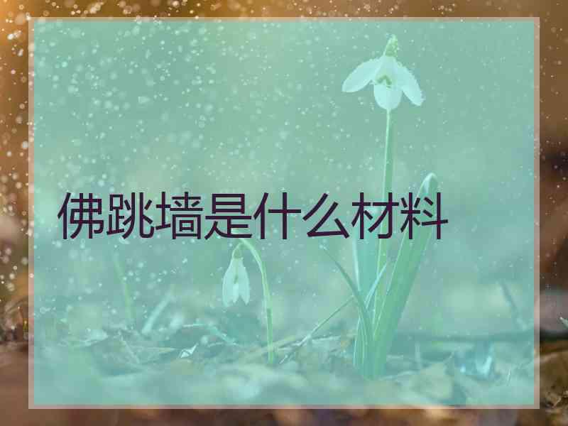 佛跳墙是什么材料
