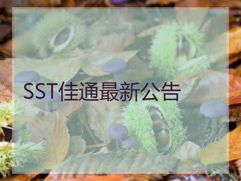SST佳通最新公告