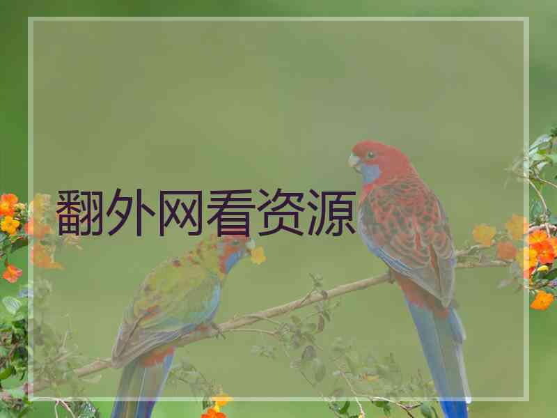 翻外网看资源