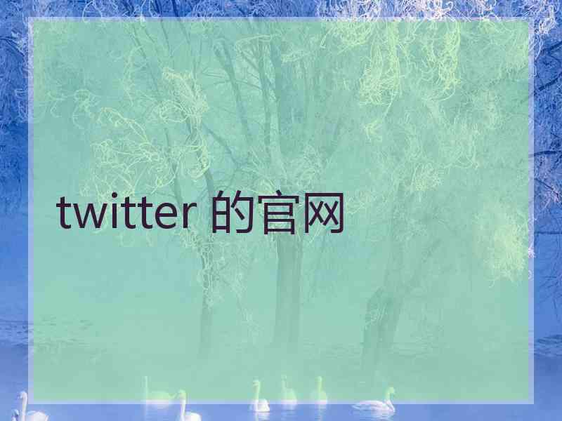 twitter 的官网
