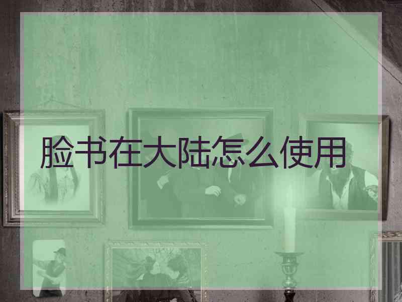 脸书在大陆怎么使用