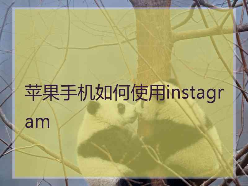 苹果手机如何使用instagram