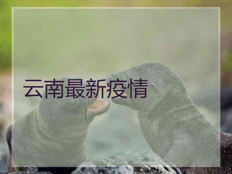 云南最新疫情