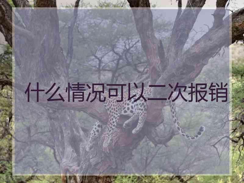 什么情况可以二次报销