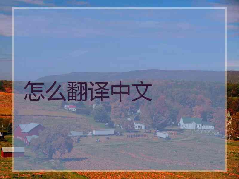 怎么翻译中文