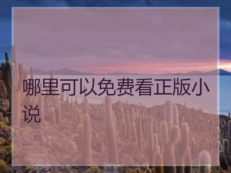 哪里可以免费看正版小说