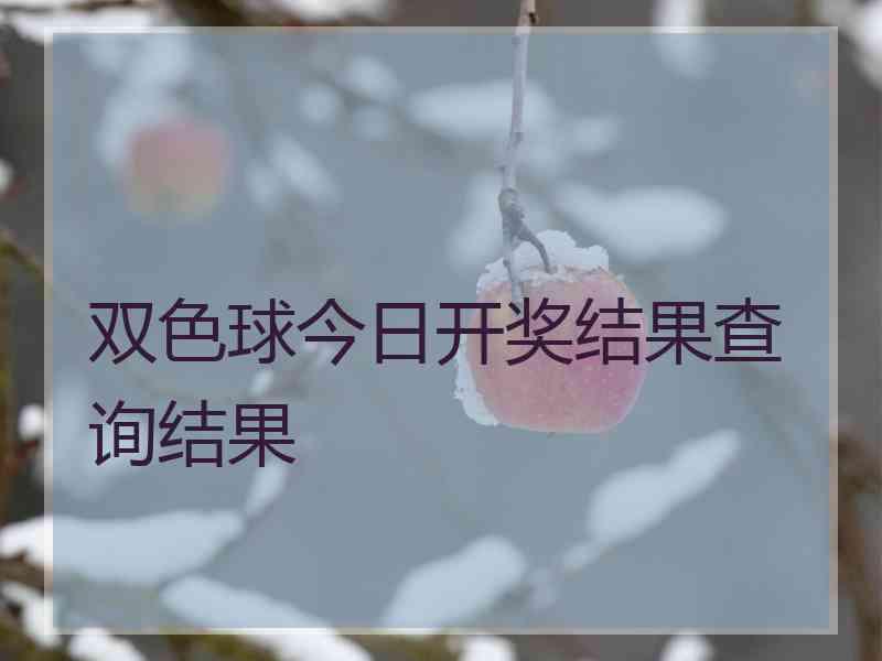 双色球今日开奖结果查询结果
