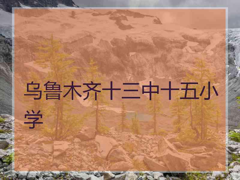 乌鲁木齐十三中十五小学