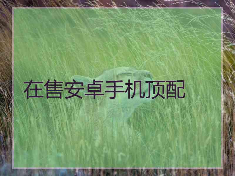 在售安卓手机顶配