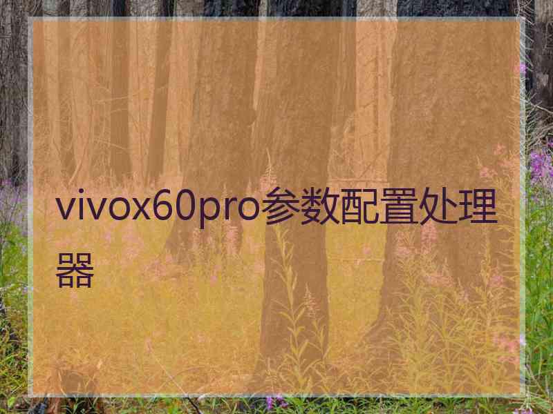 vivox60pro参数配置处理器