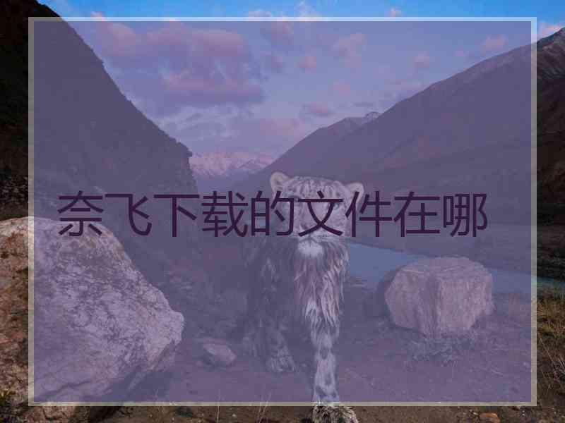 奈飞下载的文件在哪