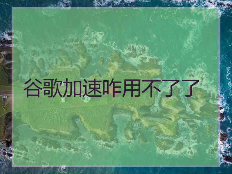 谷歌加速咋用不了了
