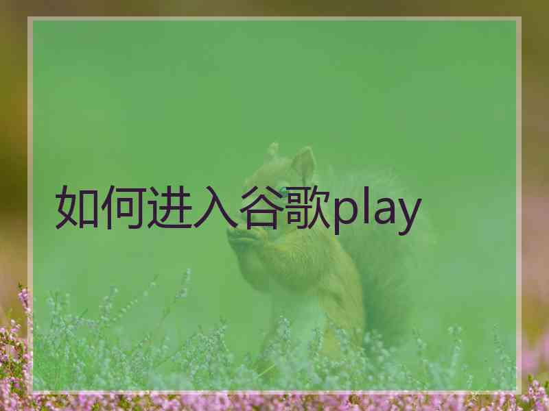 如何进入谷歌play