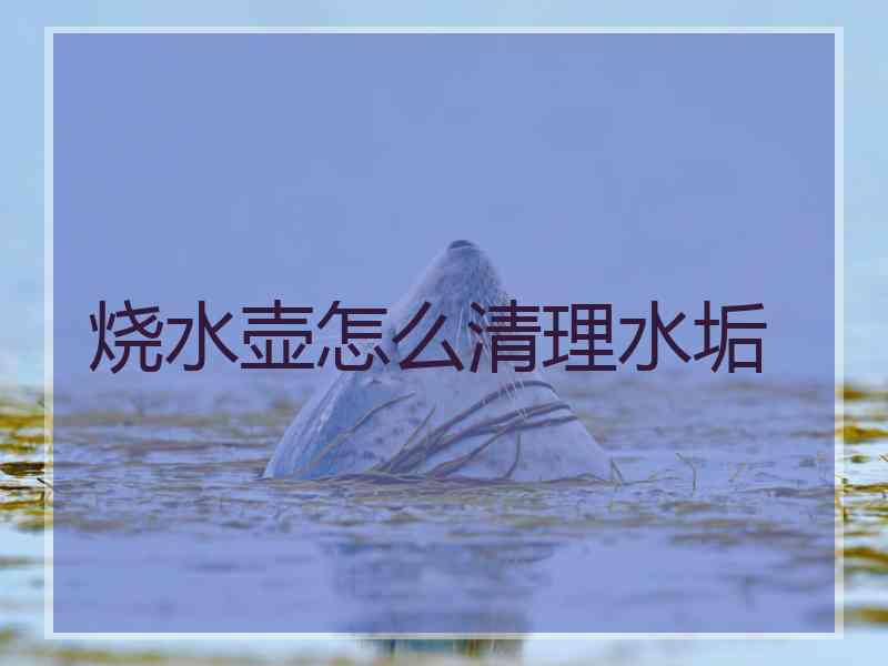 烧水壶怎么清理水垢