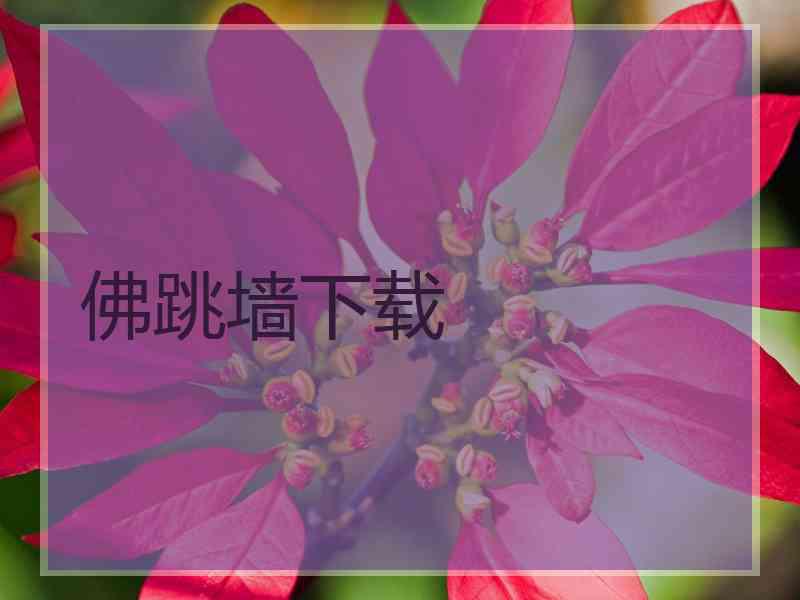 佛跳墙下载