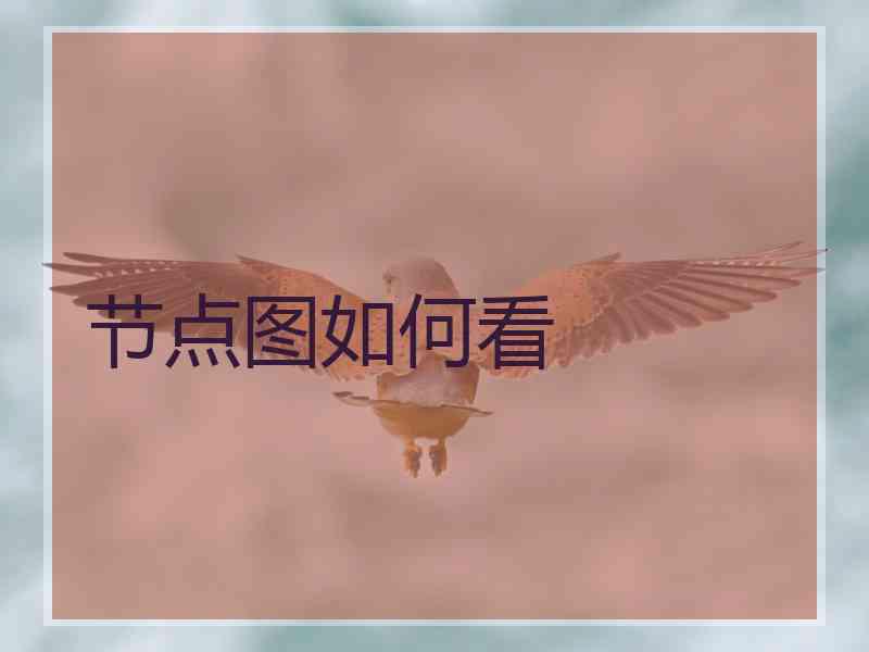 节点图如何看