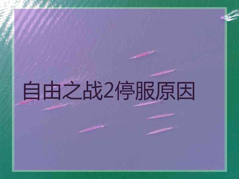 自由之战2停服原因