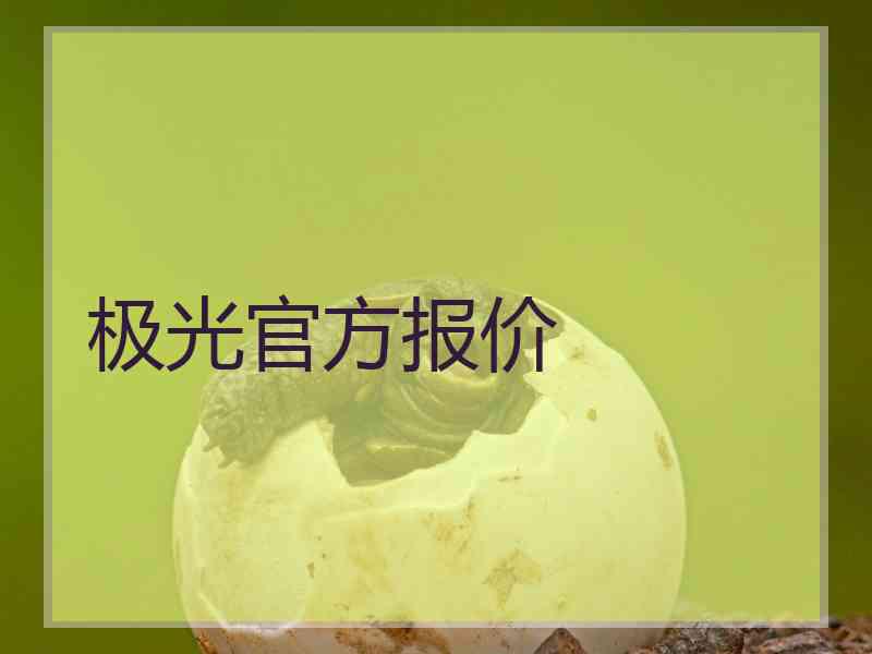 极光官方报价