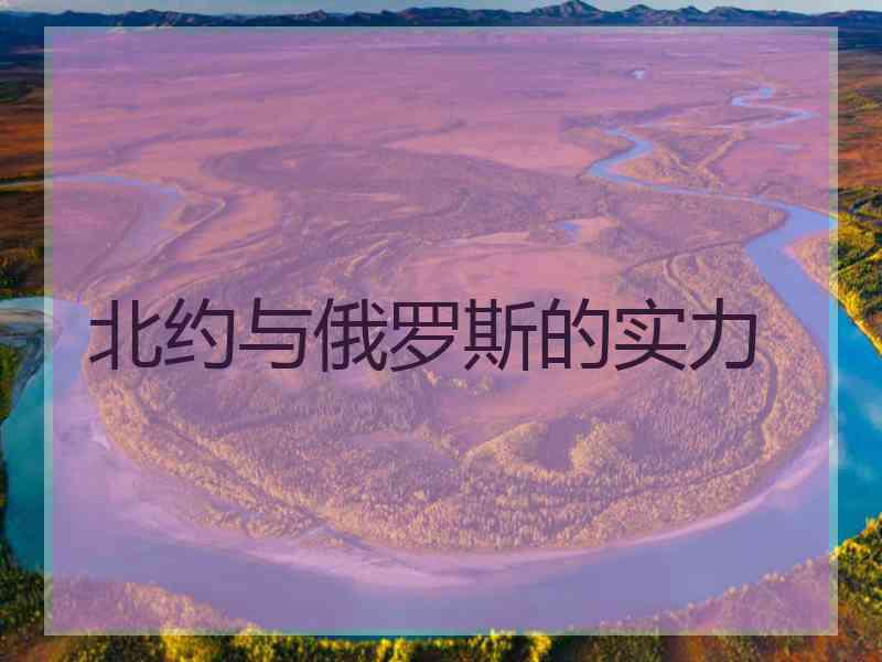 北约与俄罗斯的实力