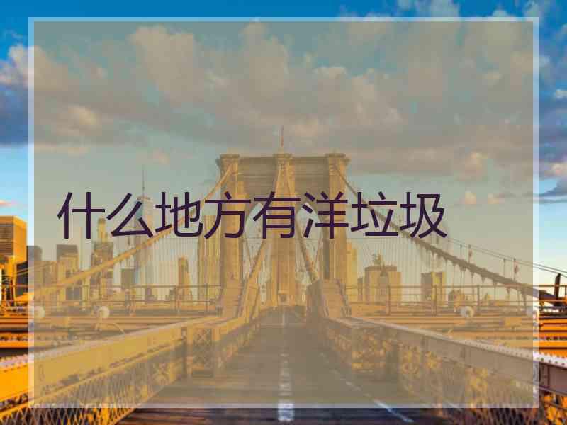 什么地方有洋垃圾