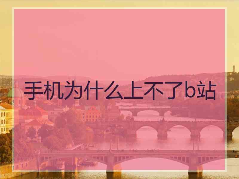 手机为什么上不了b站