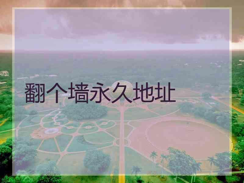 翻个墙永久地址