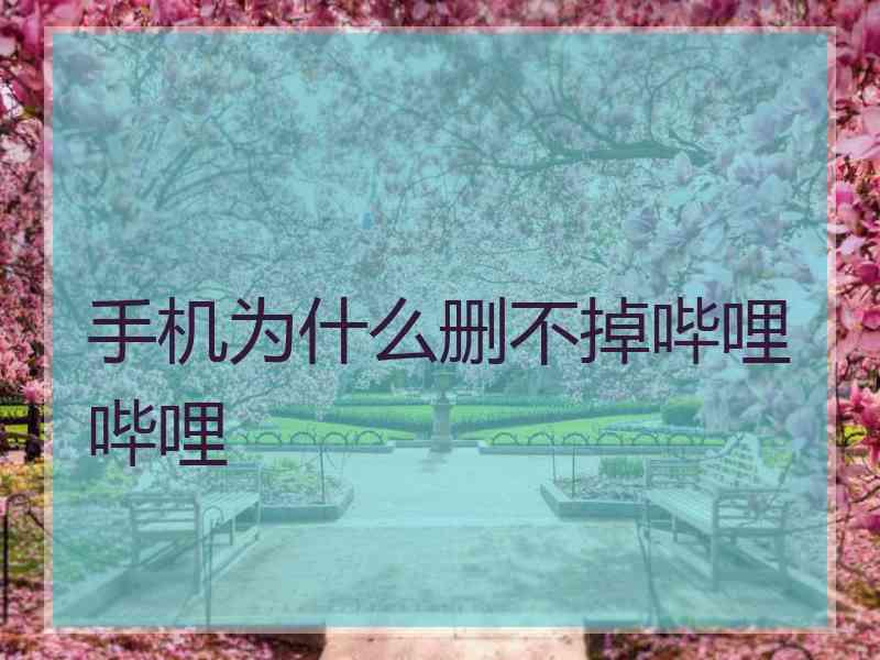 手机为什么删不掉哔哩哔哩