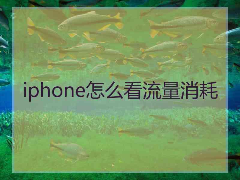 iphone怎么看流量消耗