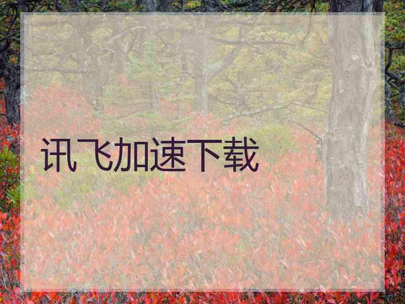 讯飞加速下载