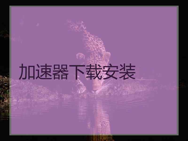 加速器下载安装