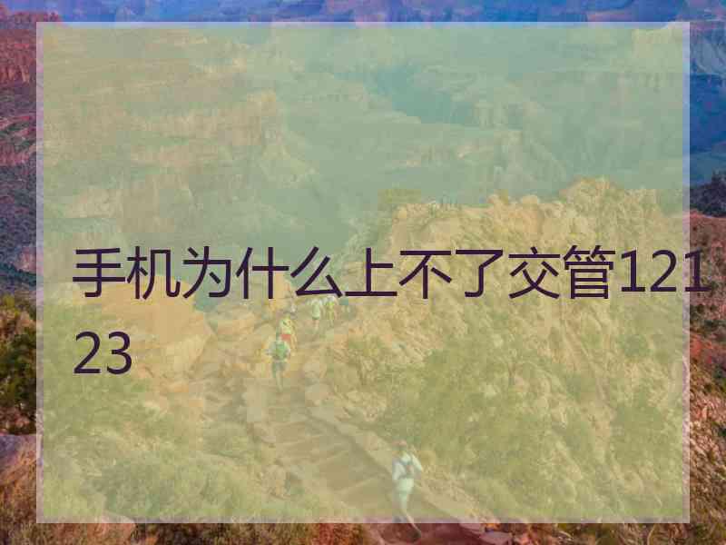 手机为什么上不了交管12123