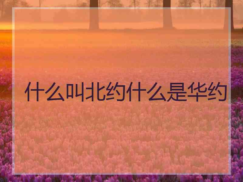什么叫北约什么是华约
