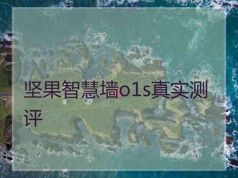 坚果智慧墙o1s真实测评