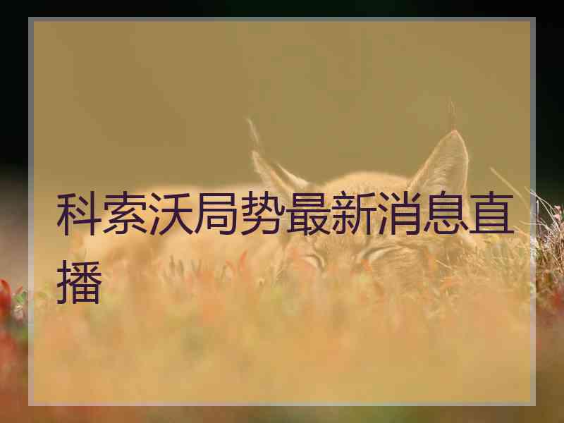 科索沃局势最新消息直播